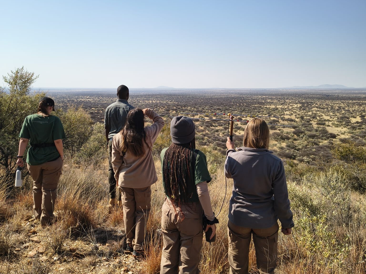 Whatsapp Image 2025 11 04 At 15.53