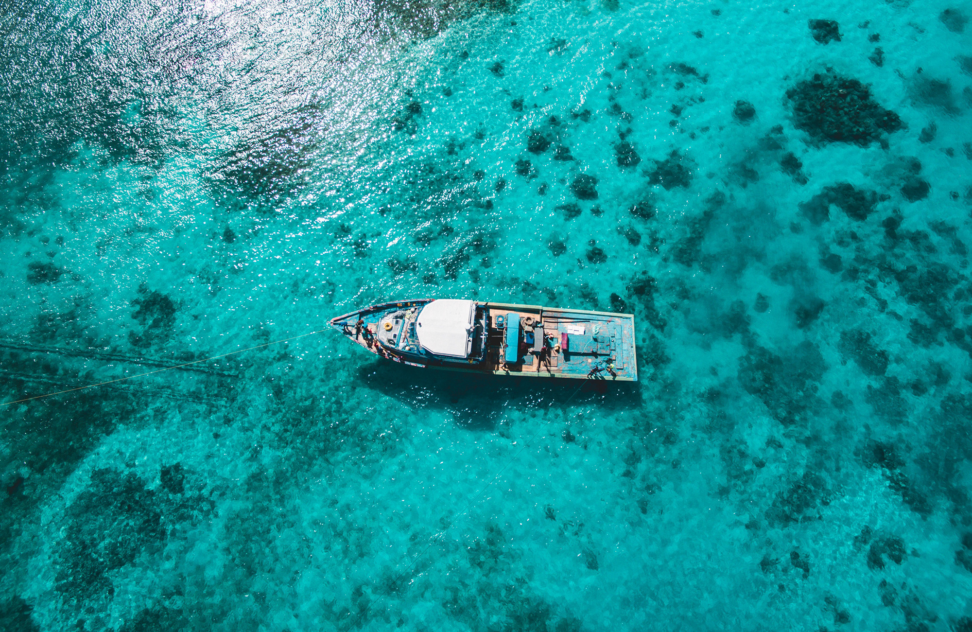 Duiken in Afrika | KILROY