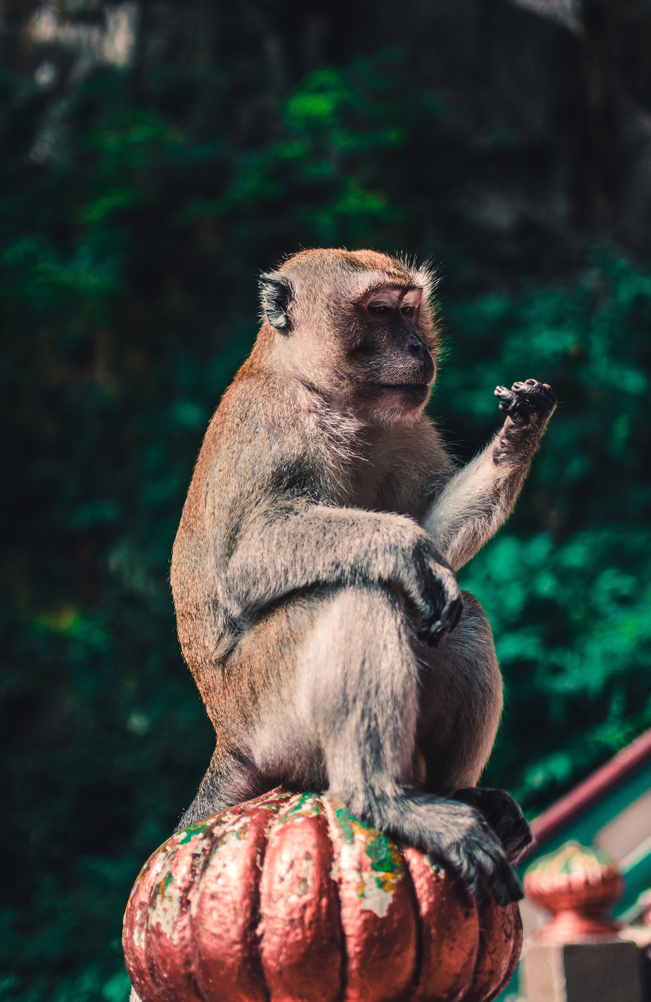 Reizen naar Kuala Lumpur