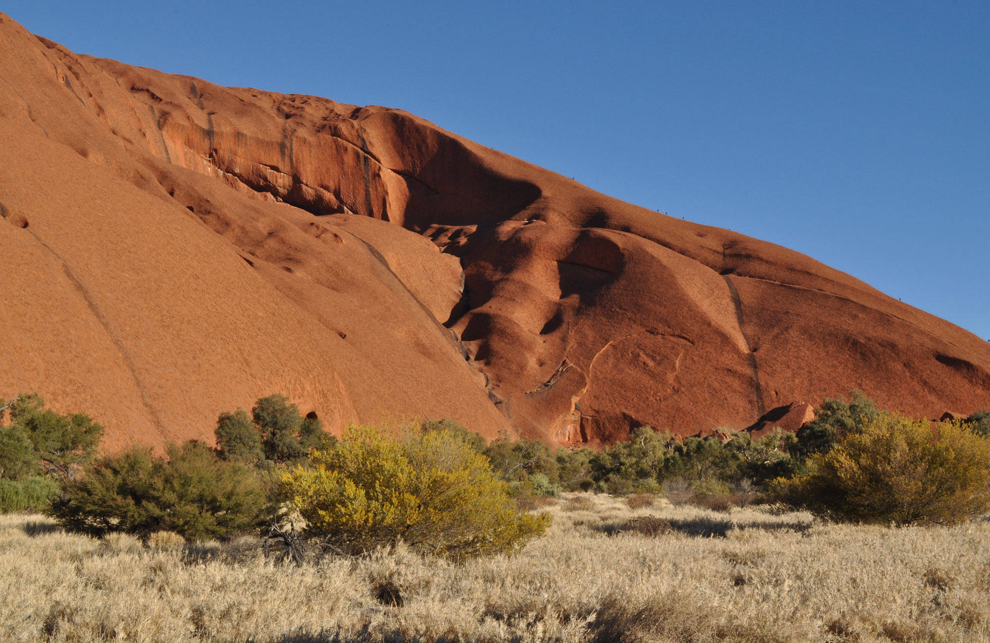 Uitzicht op Uluru | Rondreis Australië | KILROY