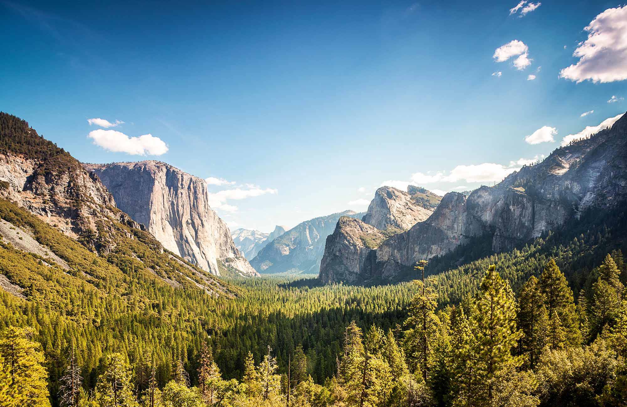 Uitzicht over een kloof met bomen in Yosemite National Park | KILROY