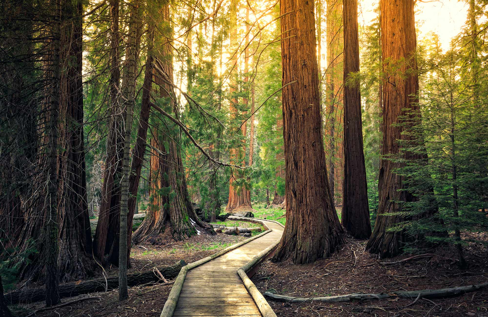 Roadtrips Amerika | Westkust Amerika