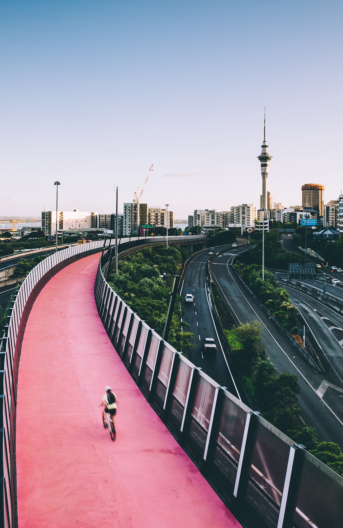 Uitzicht over roze fietspad in de stad Auckland | Reizen naar Auckland