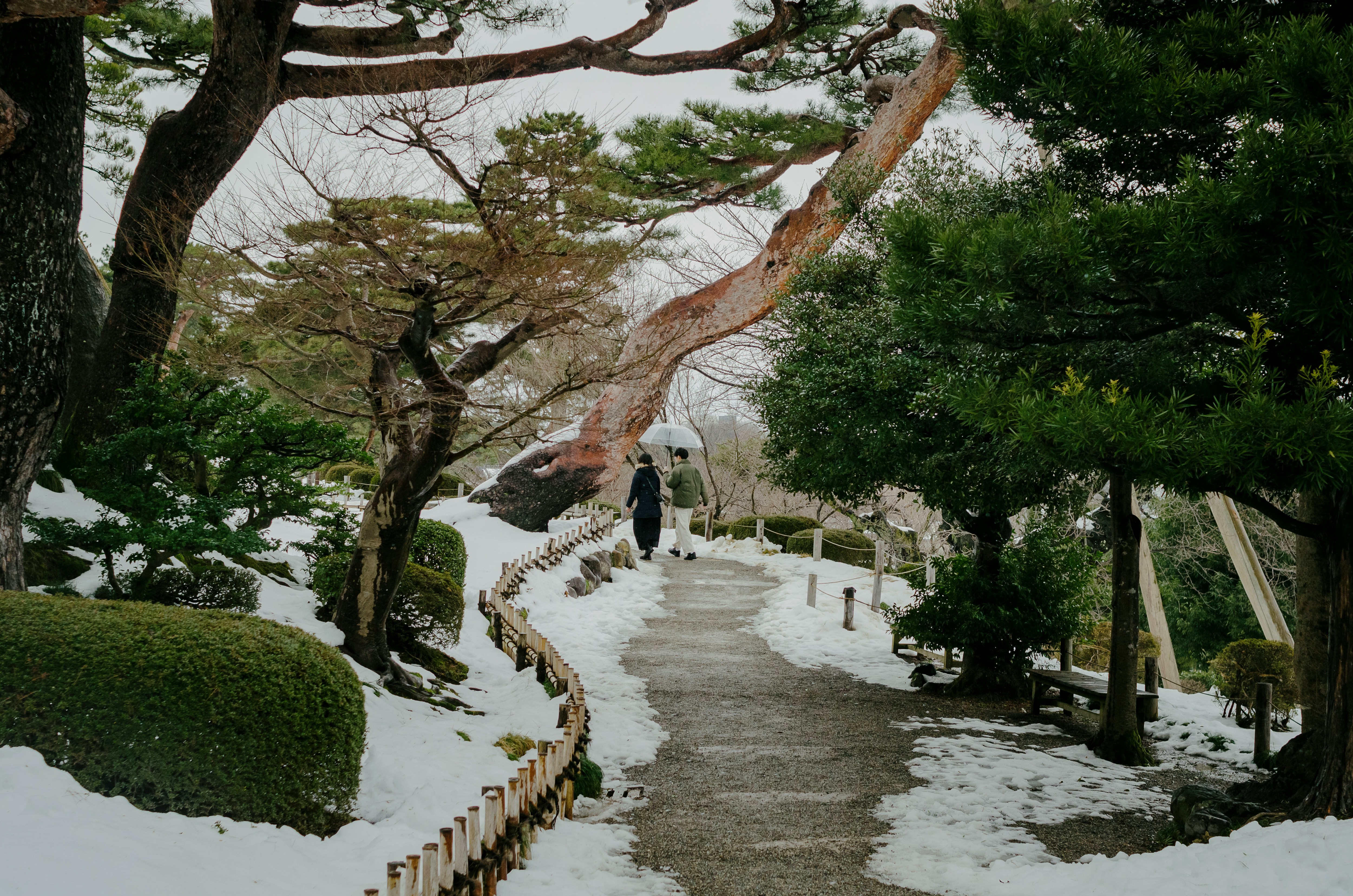 Stanislav Rozhkov Q5t7uj0z W0 Unsplash