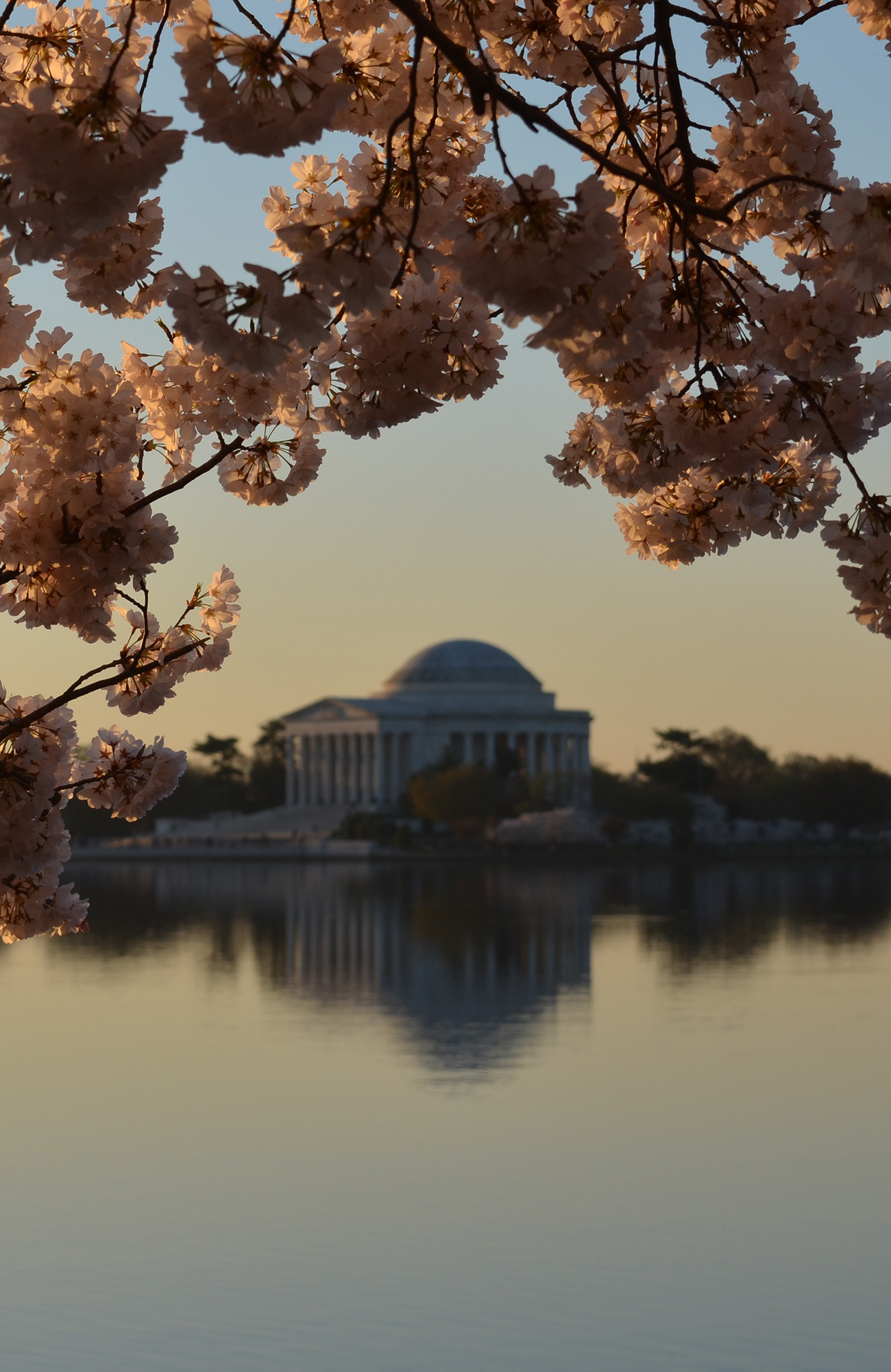 Het witte huis in Washington DC | Reizen met KILROY