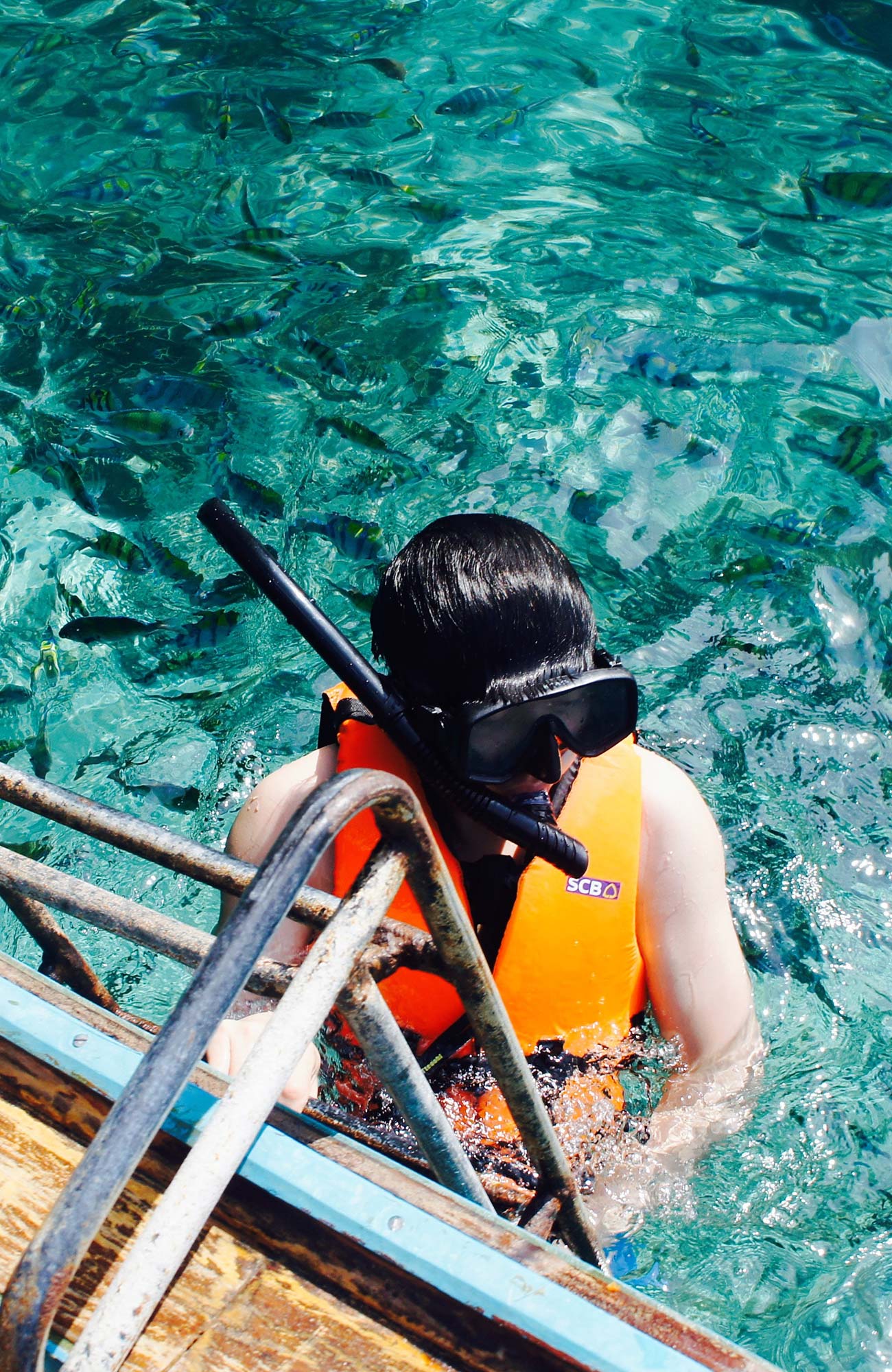 Duiken in Zuid-Amerika | KILROY