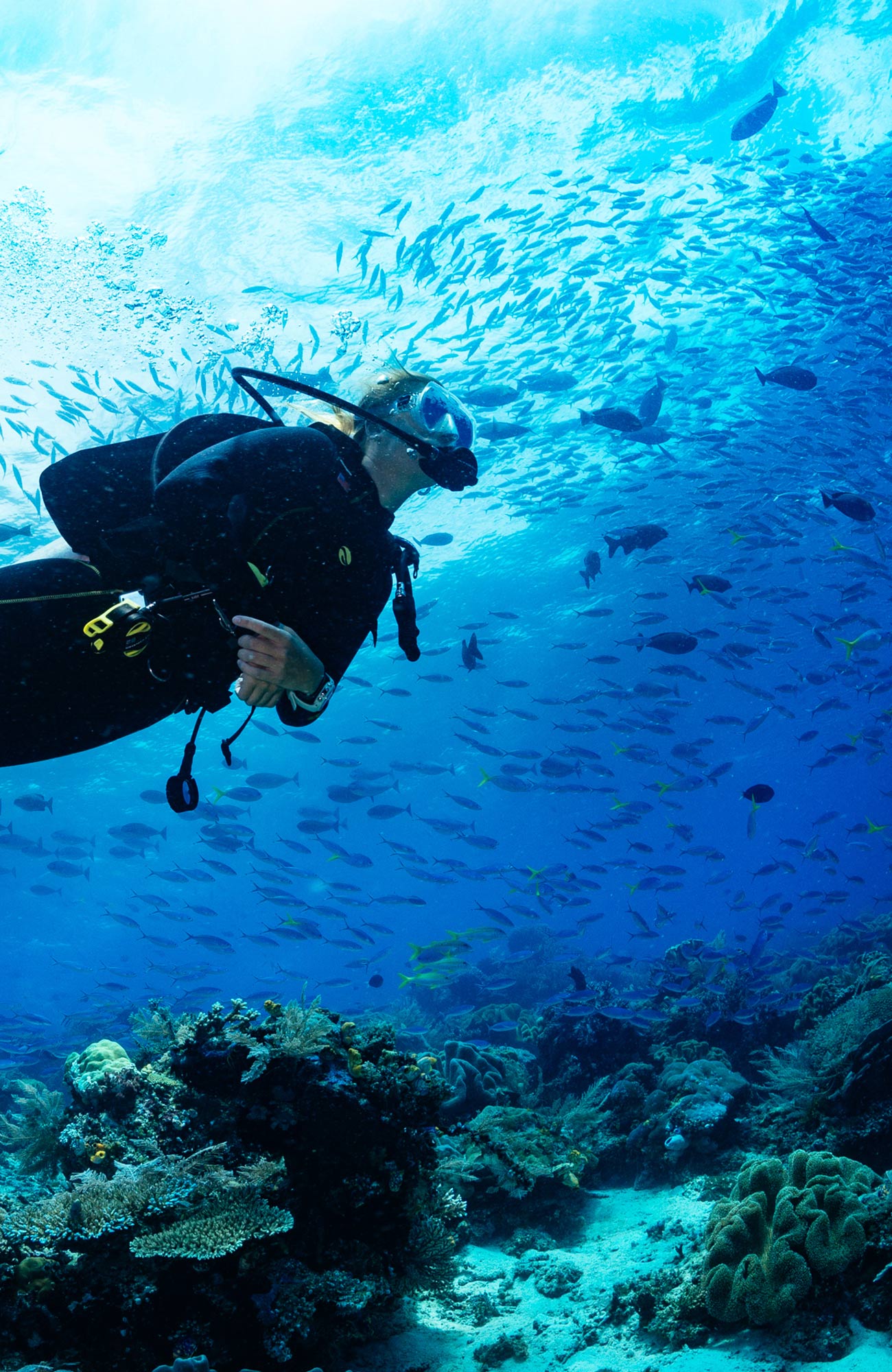 Ga duiken in de Seychellen | KILROY