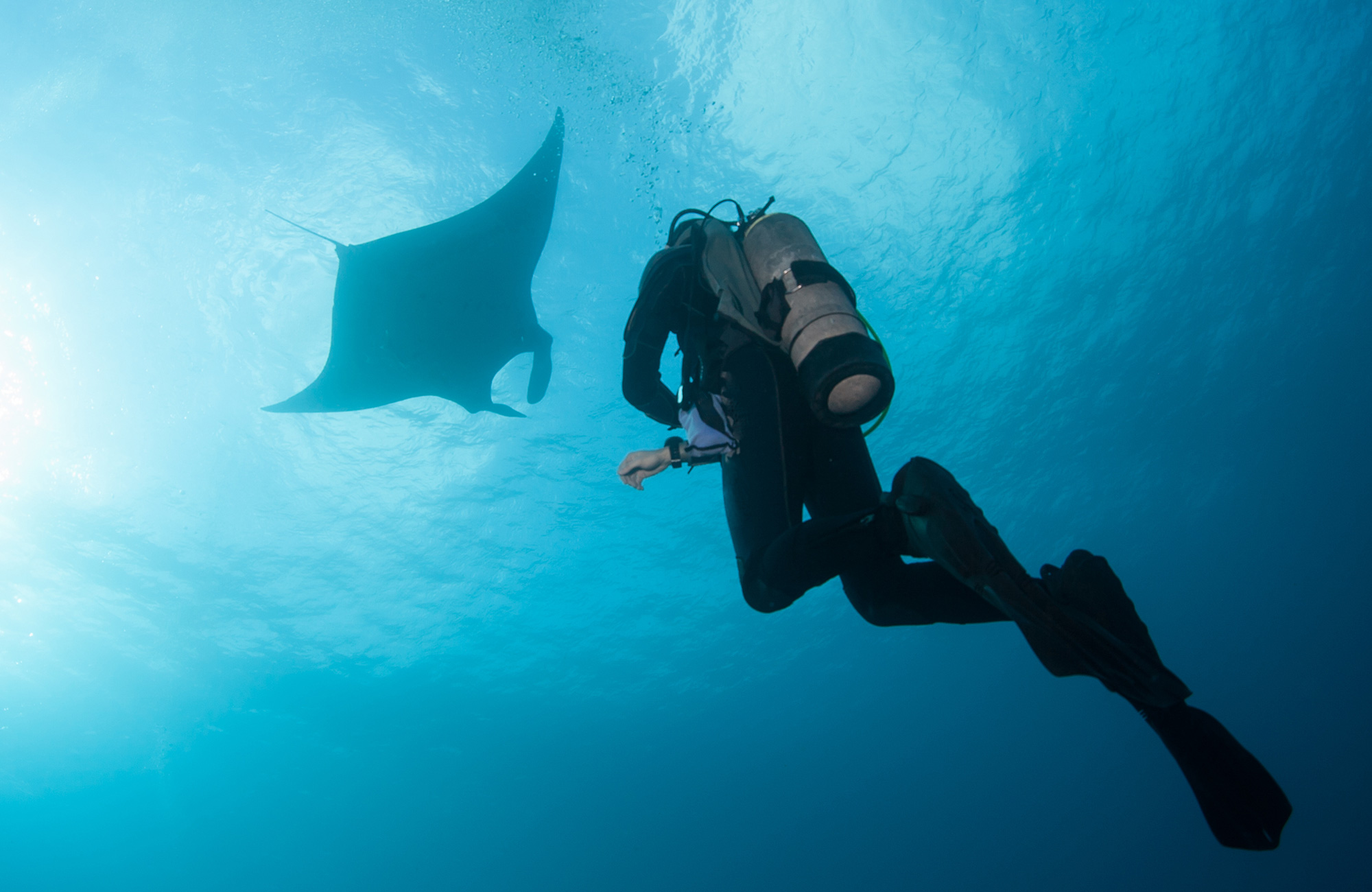 Duiken in Indonesië | KILROY
