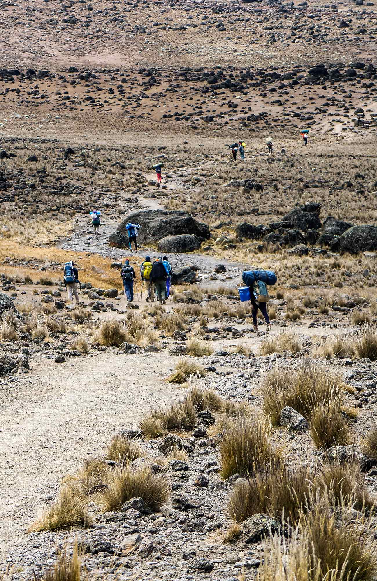 Beklim de Kilimanjaro | Trektochten met KILROY