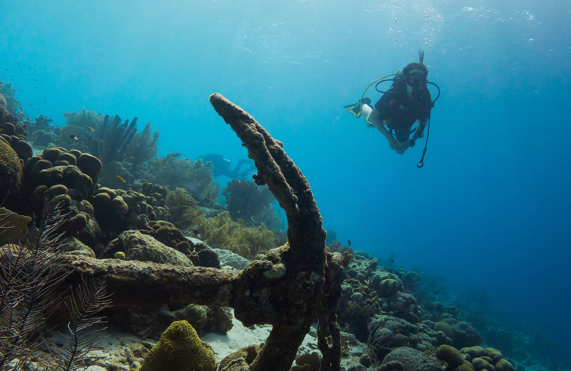 Duiken in Kaapstad, Zuid-Afrika | KILROY