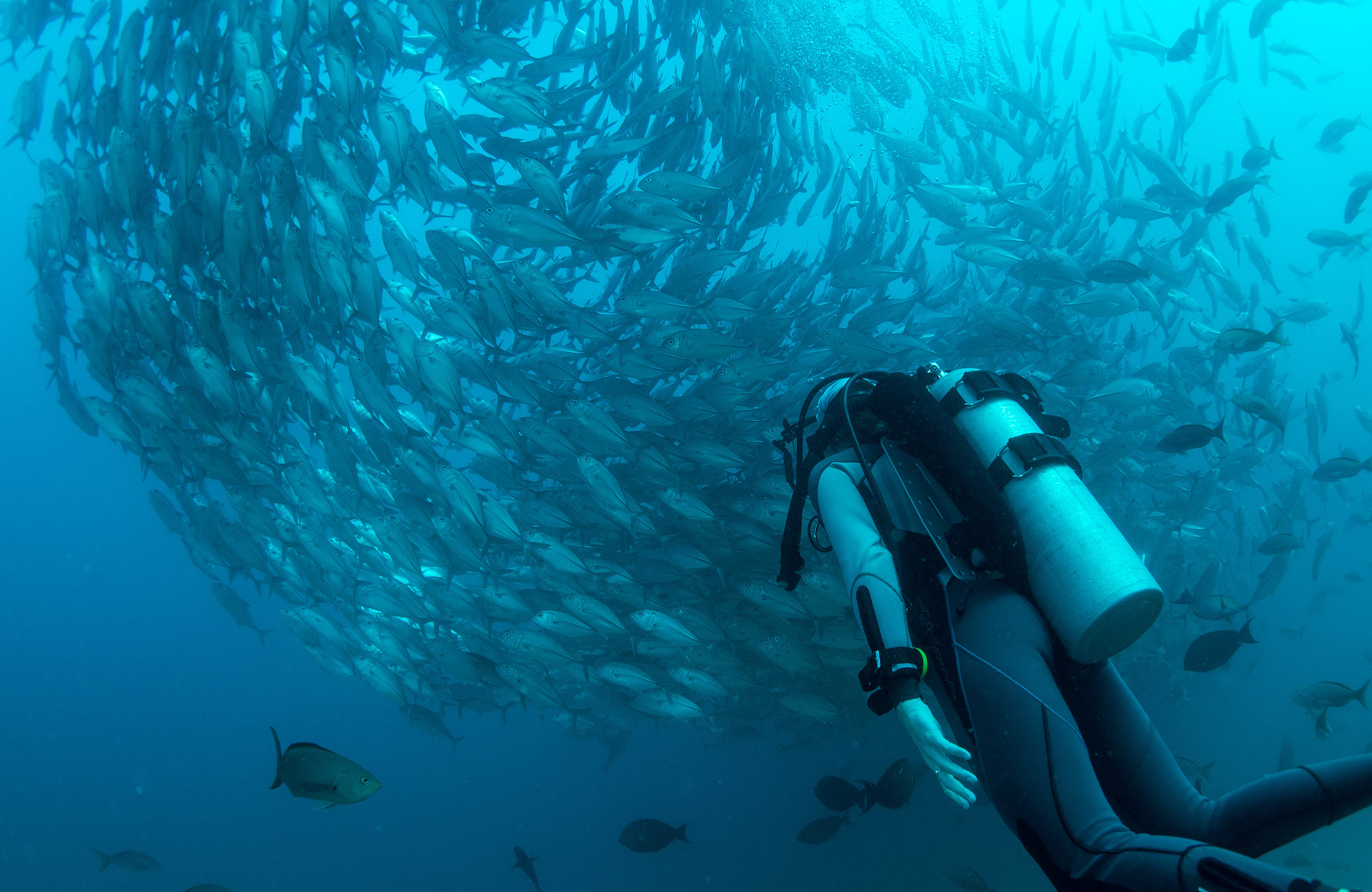 Duiken in Noord-Amerika | KILROY