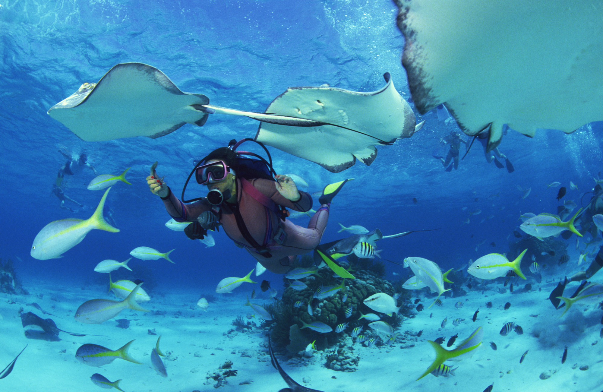 Duiker tussen de roggen | Duiken Maleisië | KILROY