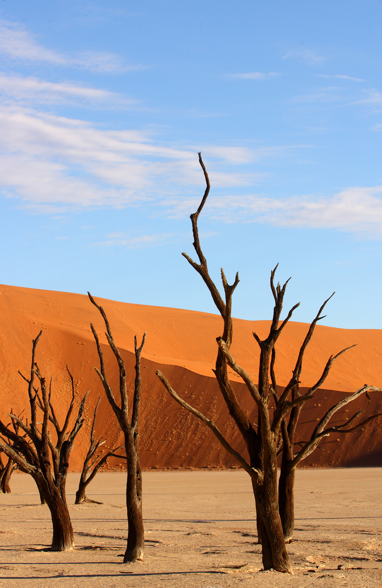 namibia-dead-valley-dead-trees-sidebar