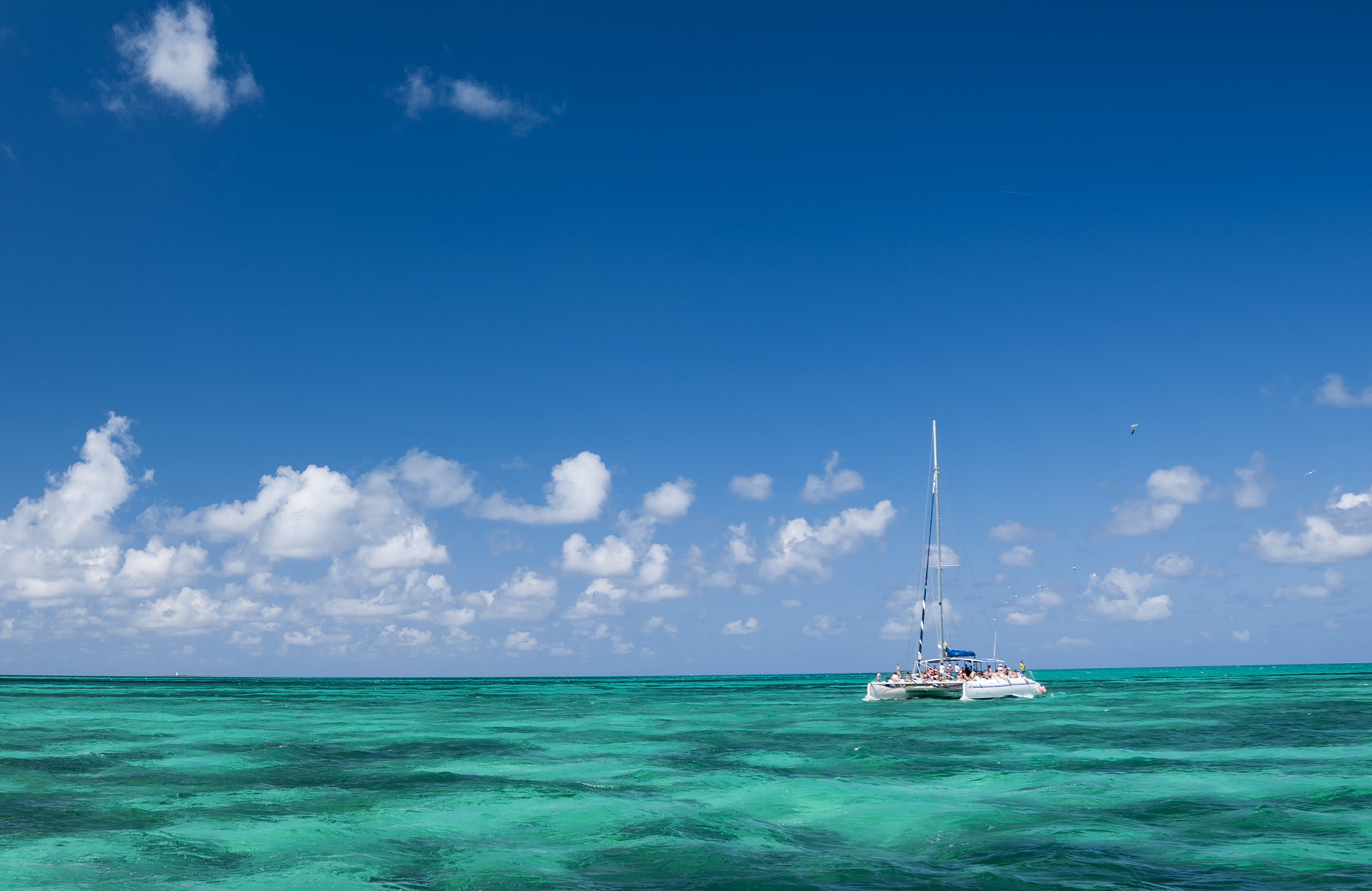 Catamaran op het water | Zeilen in Cuba | KILROY