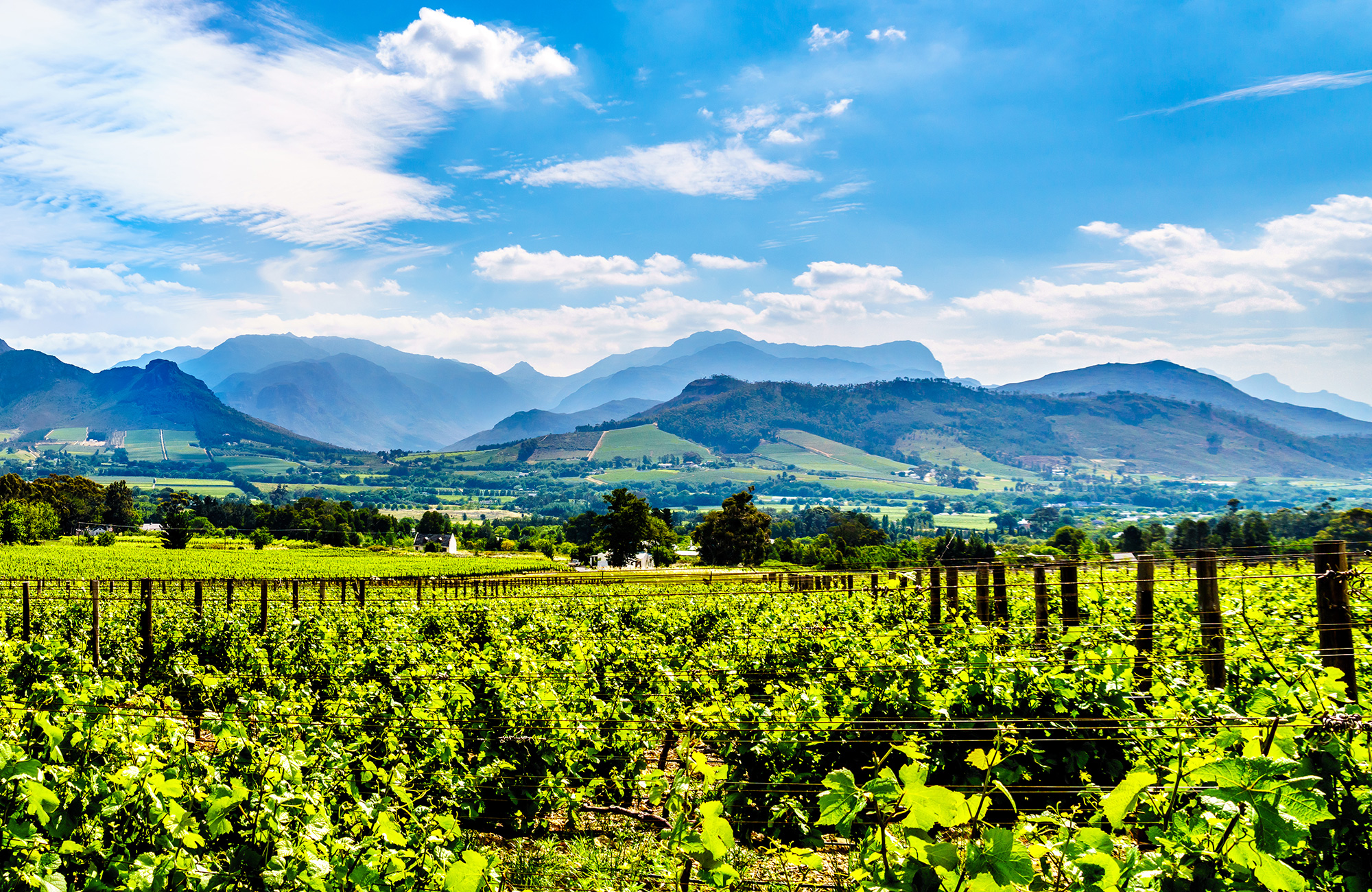 south-africa-franschhoek-valley-vineyards-cover