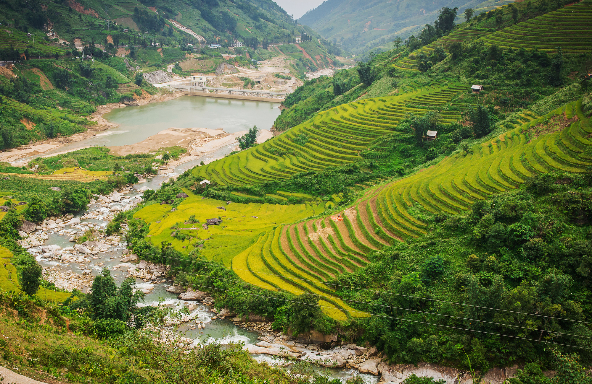 Rijstvelden in Sapa | Backpacken Vietnam | KILROY