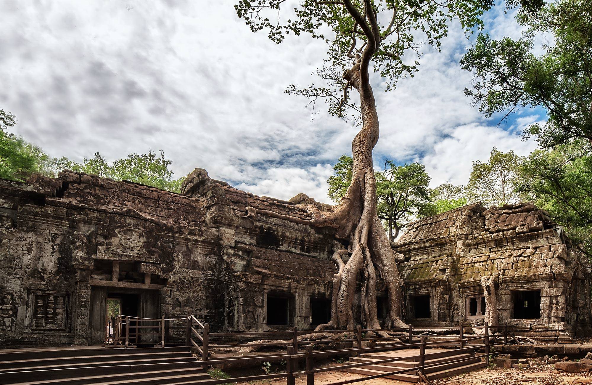 Ta Prom in Angkor Wat Cambodia | Rondreis Cambodja en Vietnam