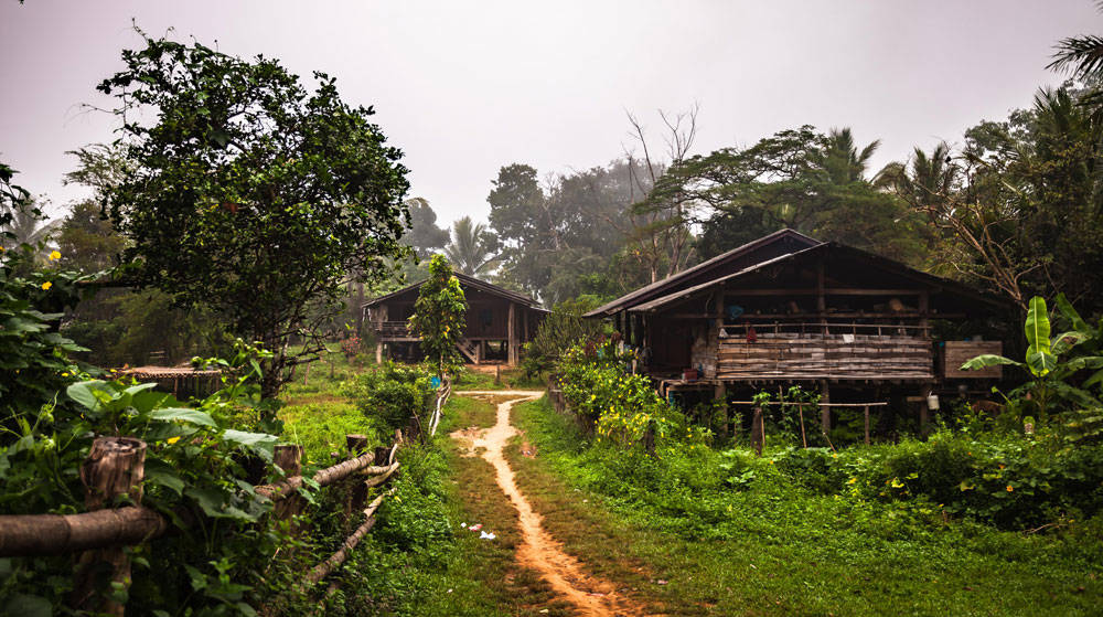 Houten huisjes in de jungle | 5 tips voor reizen in Thailand | KILROY