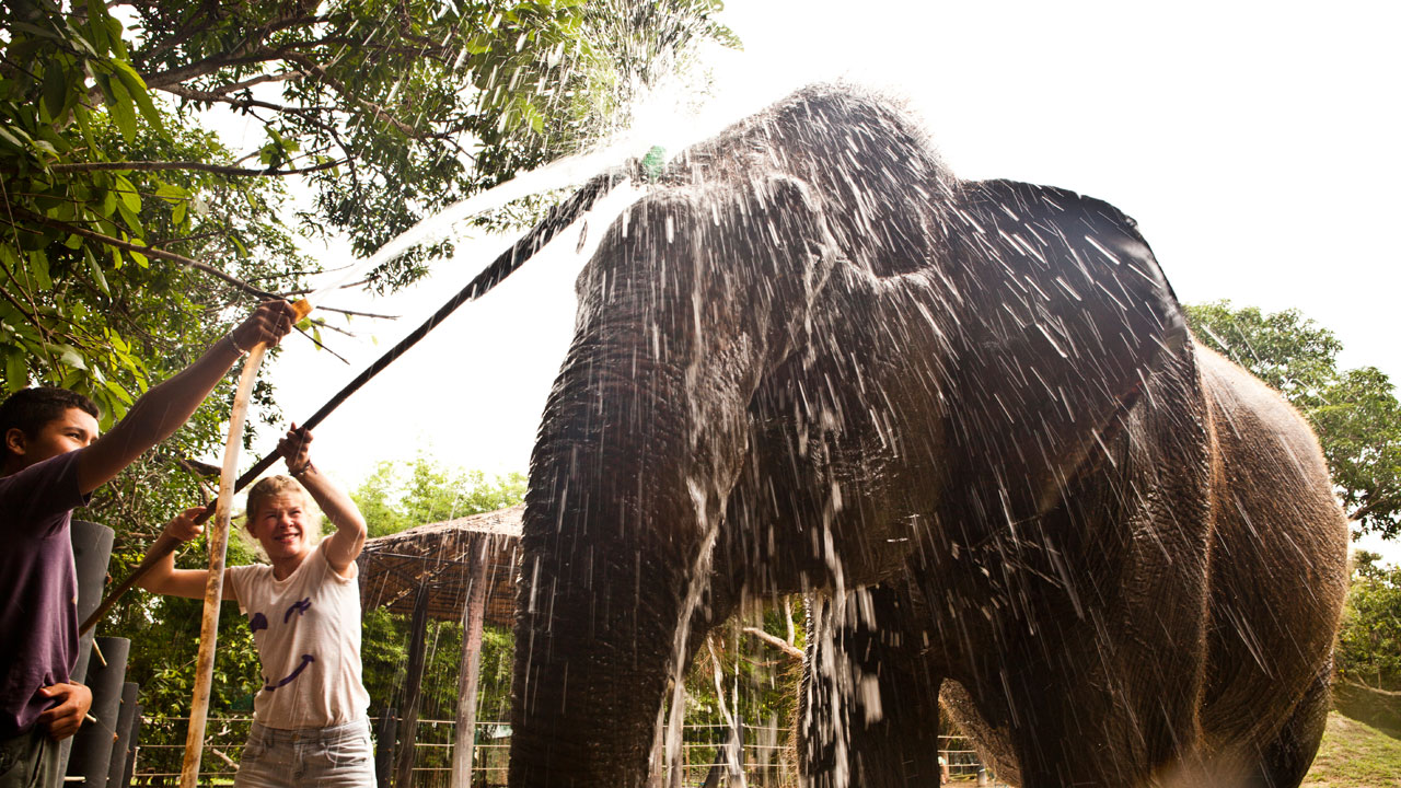 Jonge reizigers wassen olifant | 5 tips voor reizen in Thailand | KILROY
