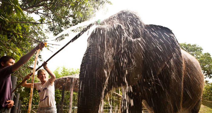 Doe vrijwilligerswerk met olifanten en andere wildlife bij het rescue centre in Hua Hin | Epische rondreis door Thailand | KILROY