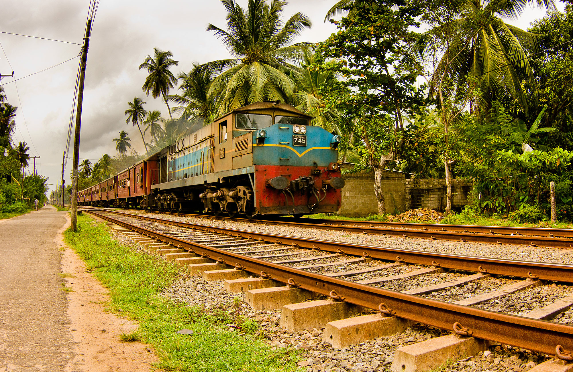 Trein op het spoor met palmbomen | Met de trein door India | KILROY