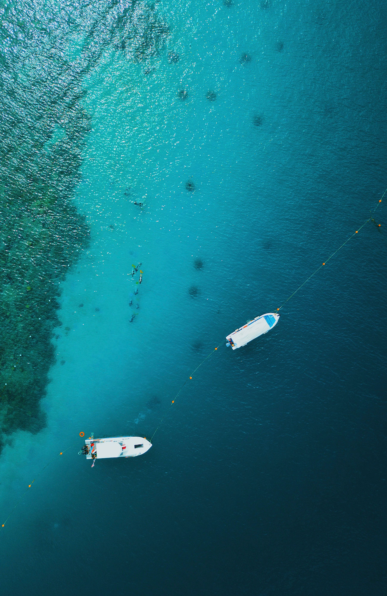 Backpacken in Borneo (Maleisië) | KILROY