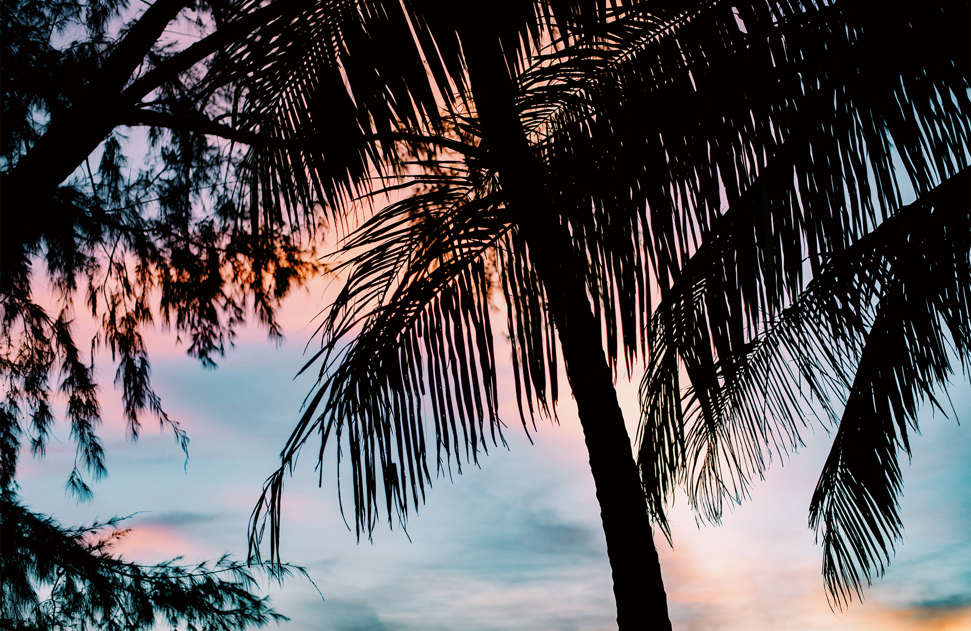 koh-chang-thailand-colorful-sunset-trees-cover