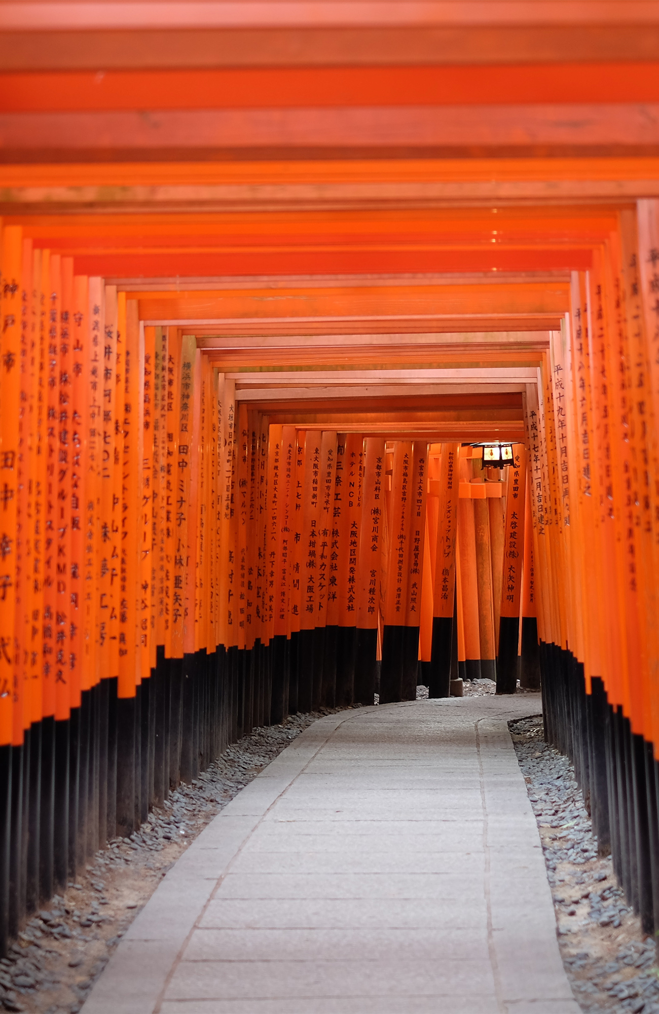 Fushimi Inari Shrine | Rode poortjes Kyoto | Maak een 9-daagse rondreis door Japan met KILROY