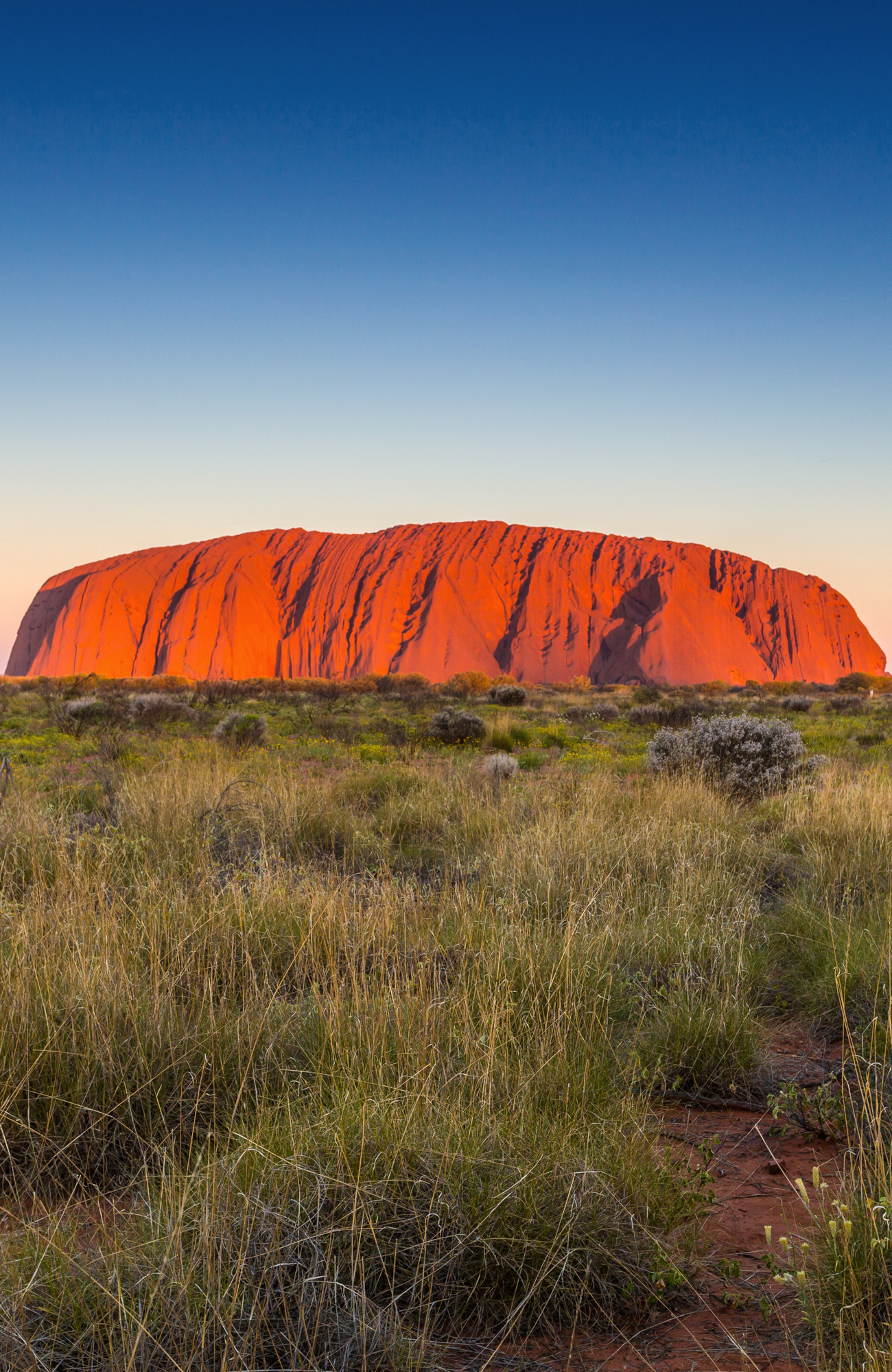 Reizen naar Ayers Rock | Uluru