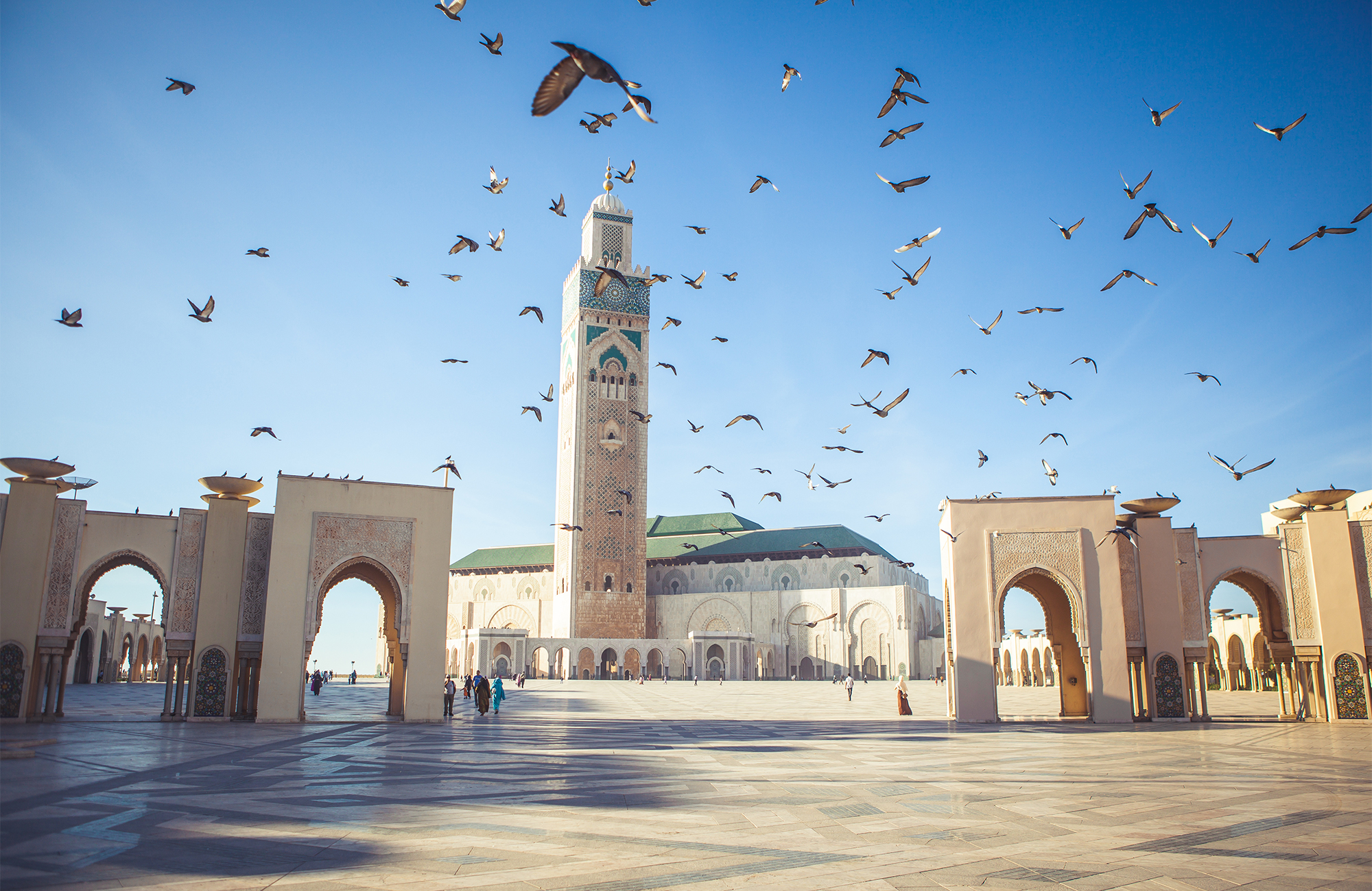 casablanca-morocco-hassan-mosque-birds-cover