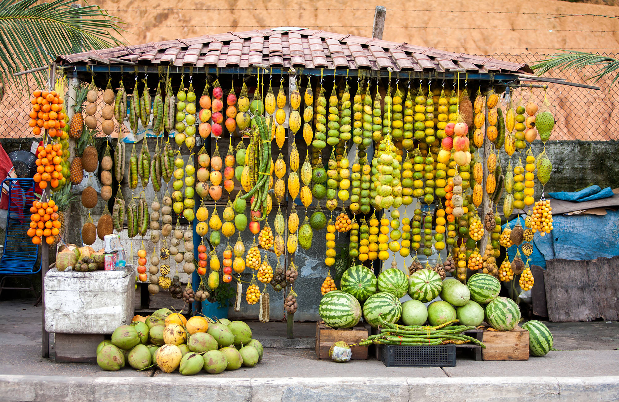 Fruitkramp met meloenen en citrusvruchten in Brazilië | Beste reistijd mei | Beste bestemmingen mei | Reiskalender | KILROY