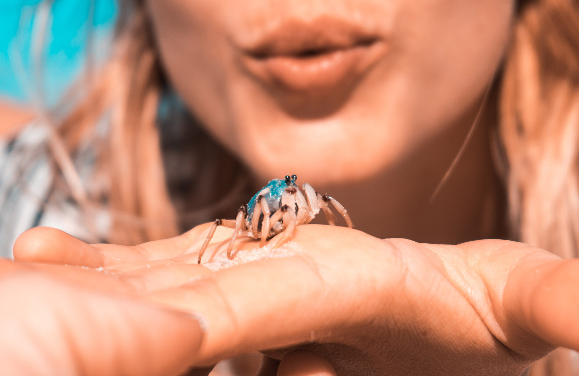 Krabbetje op Fraser Island in Australië | Alleen op reis 5 bestemmingen | KILROY