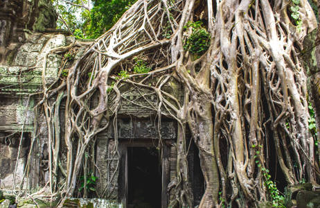 Angkor Wat in Cambodja | Beste reistijd februari | Beste bestemmingen februari | Reiskalender | KILROY