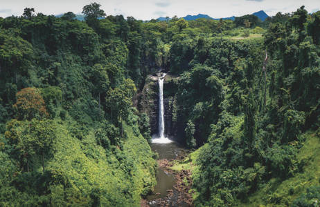 Bezoek deze jungle waterval op een van de eilanden van Samoa | KILROY