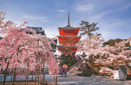 Maak een rondreis door Japan en ontdek de mooiste bezienswaardigheden
