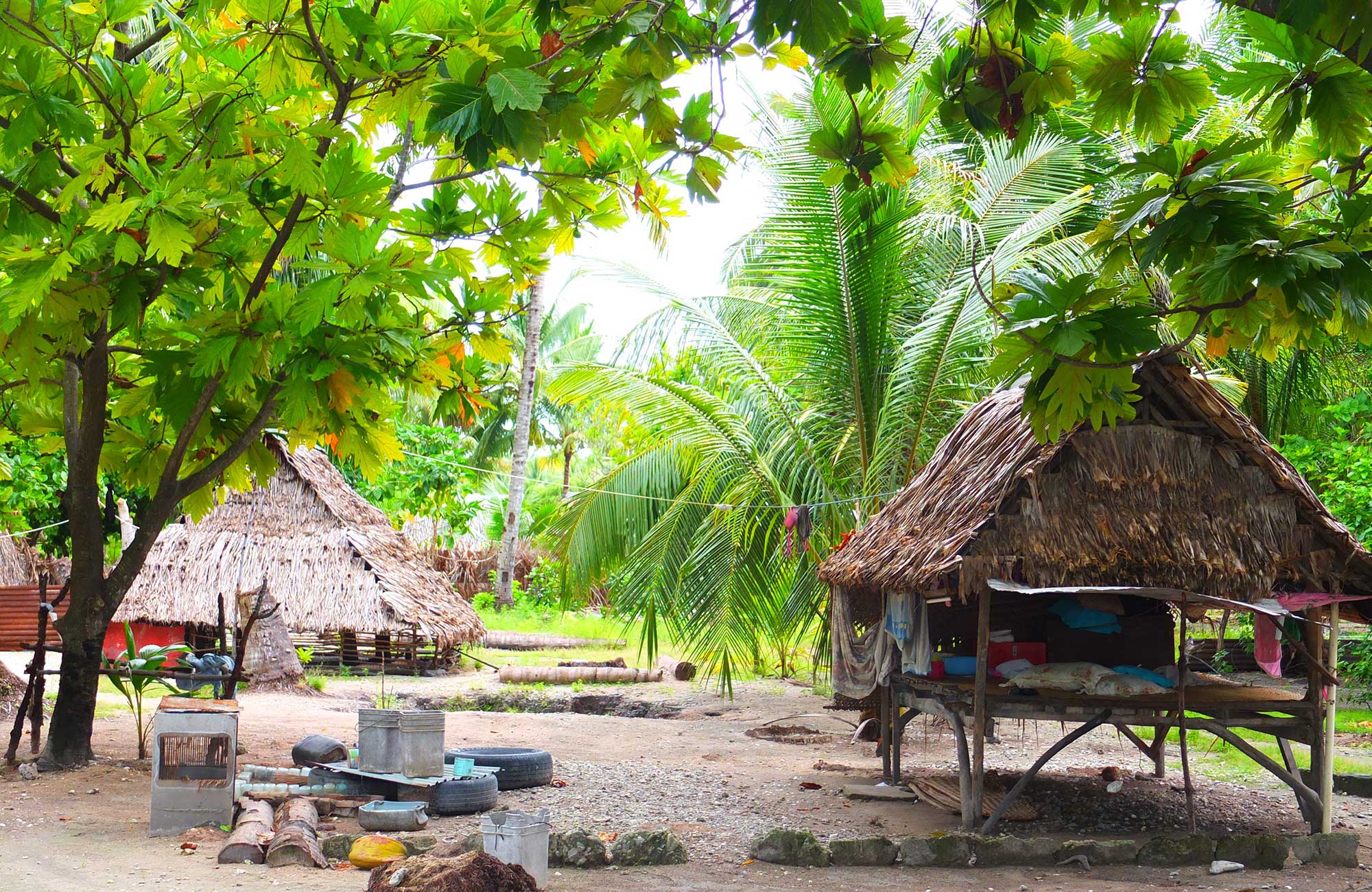 Hutjes op camping | Rondreizen in Oceanië | KILROY