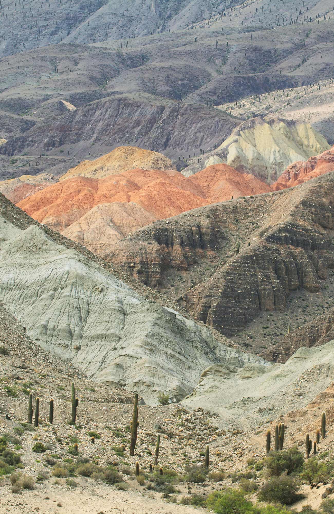 south-america-argentina-salta-sidebar-image
