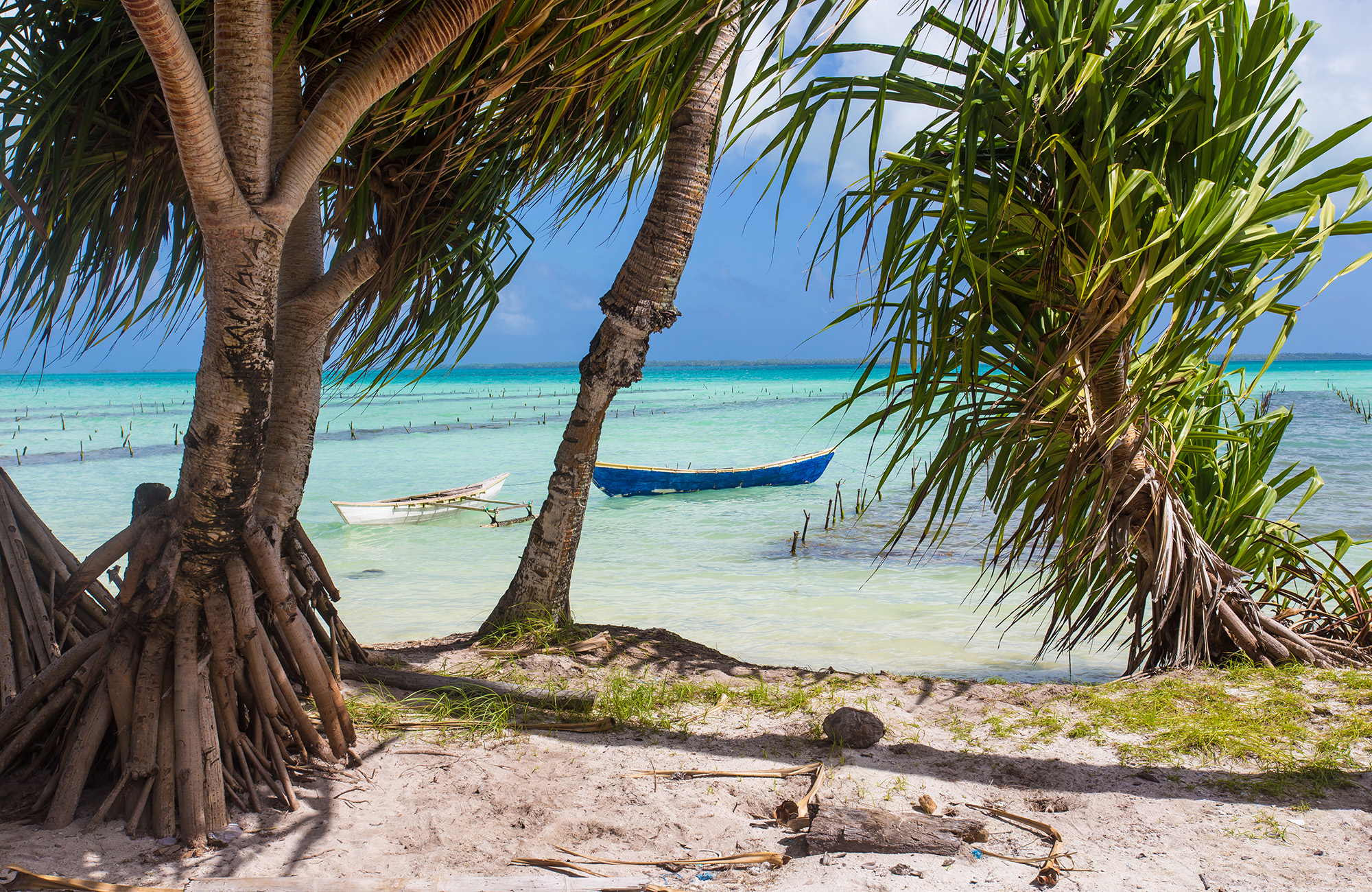 Geniet van een prachtig uitzicht in Kiribati | Reis naar het onbekende met KILROY