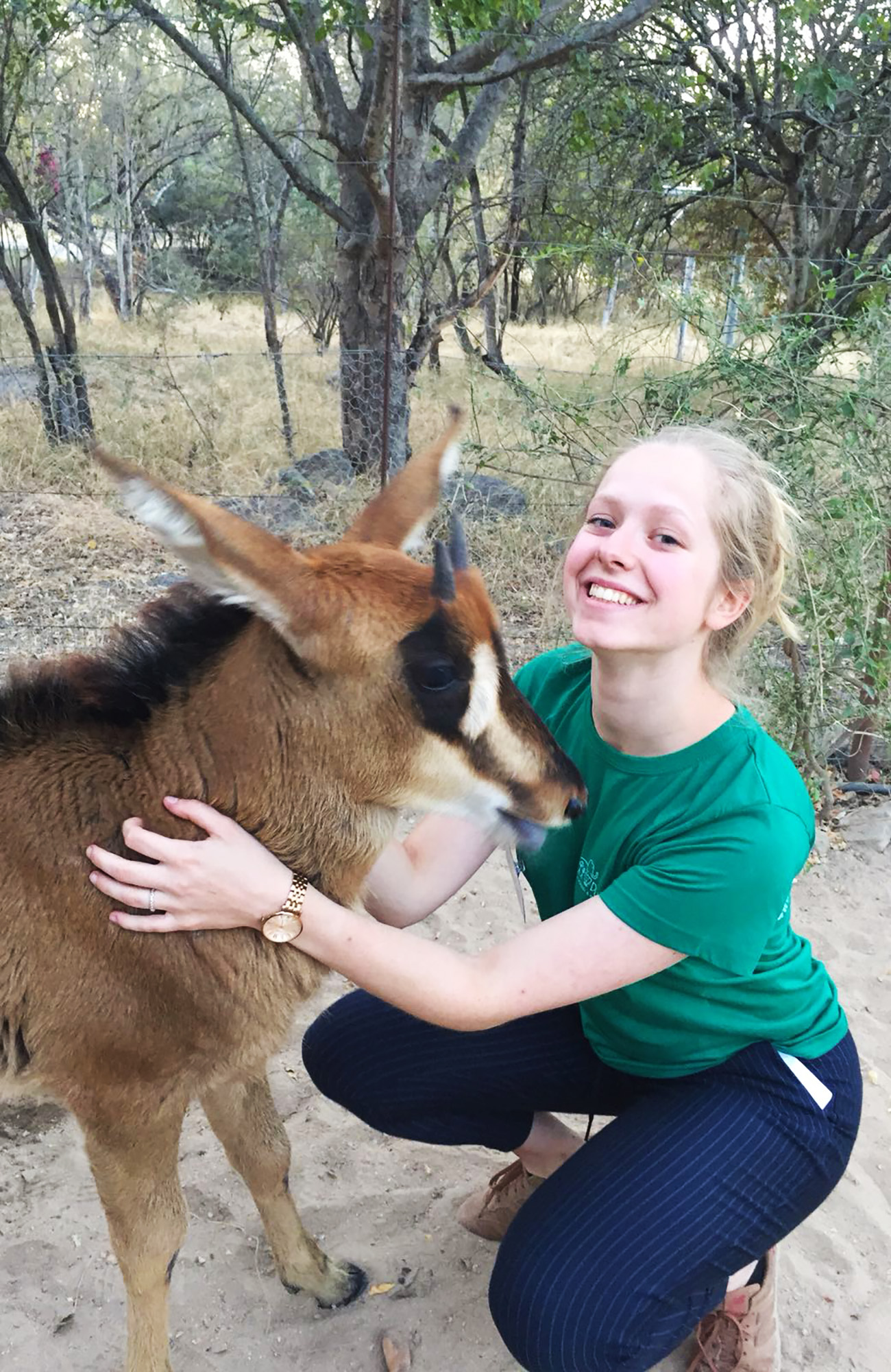 Vrijwilligerswerk met kinderen en dieren in Zuid-Afrika | KILROY