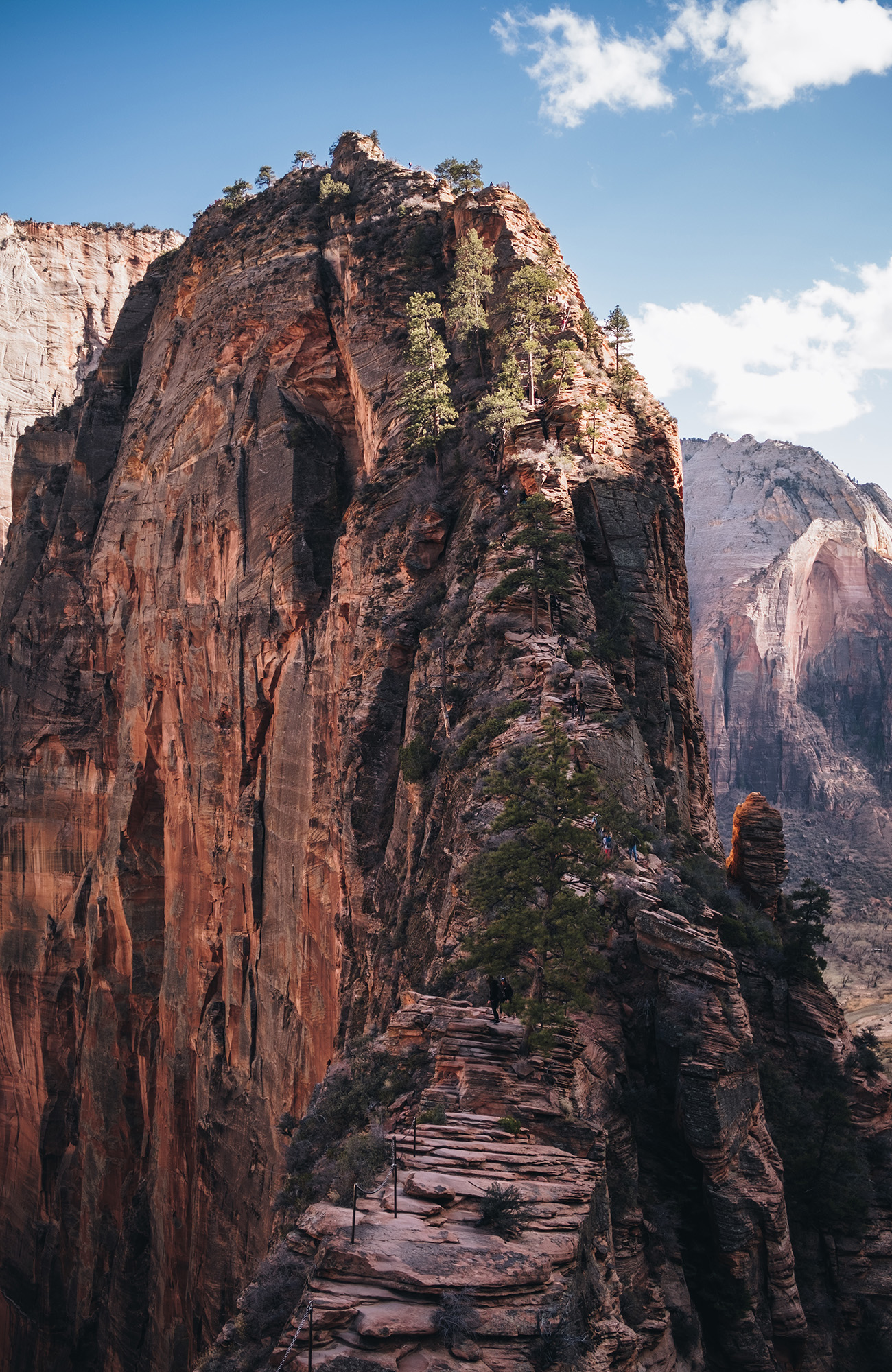 Zion National Park bezoeken | KILROY