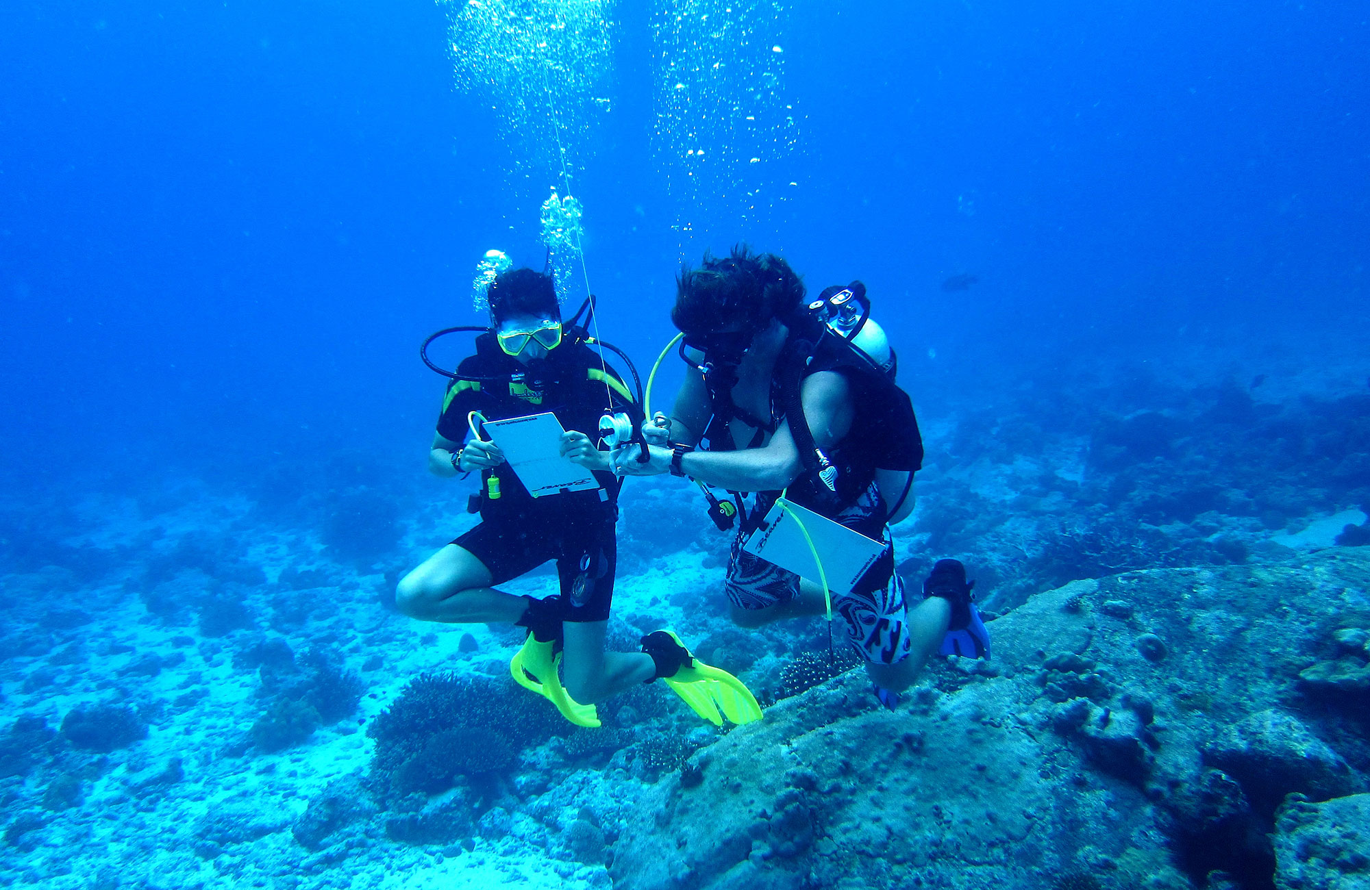 Behaal je Padi Advanced Diving cerificaat tijdens je vrijwilligersproject in de Seychellen