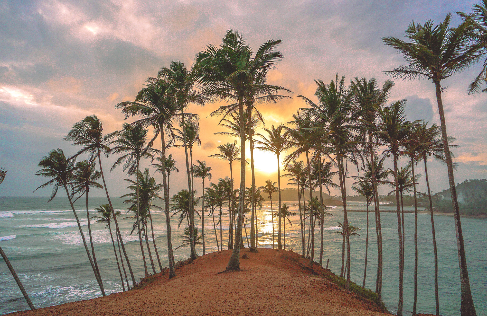 Palmbomen in Mirissa bij zonsondergang | Backpacken in Sri Lanka | KILROY