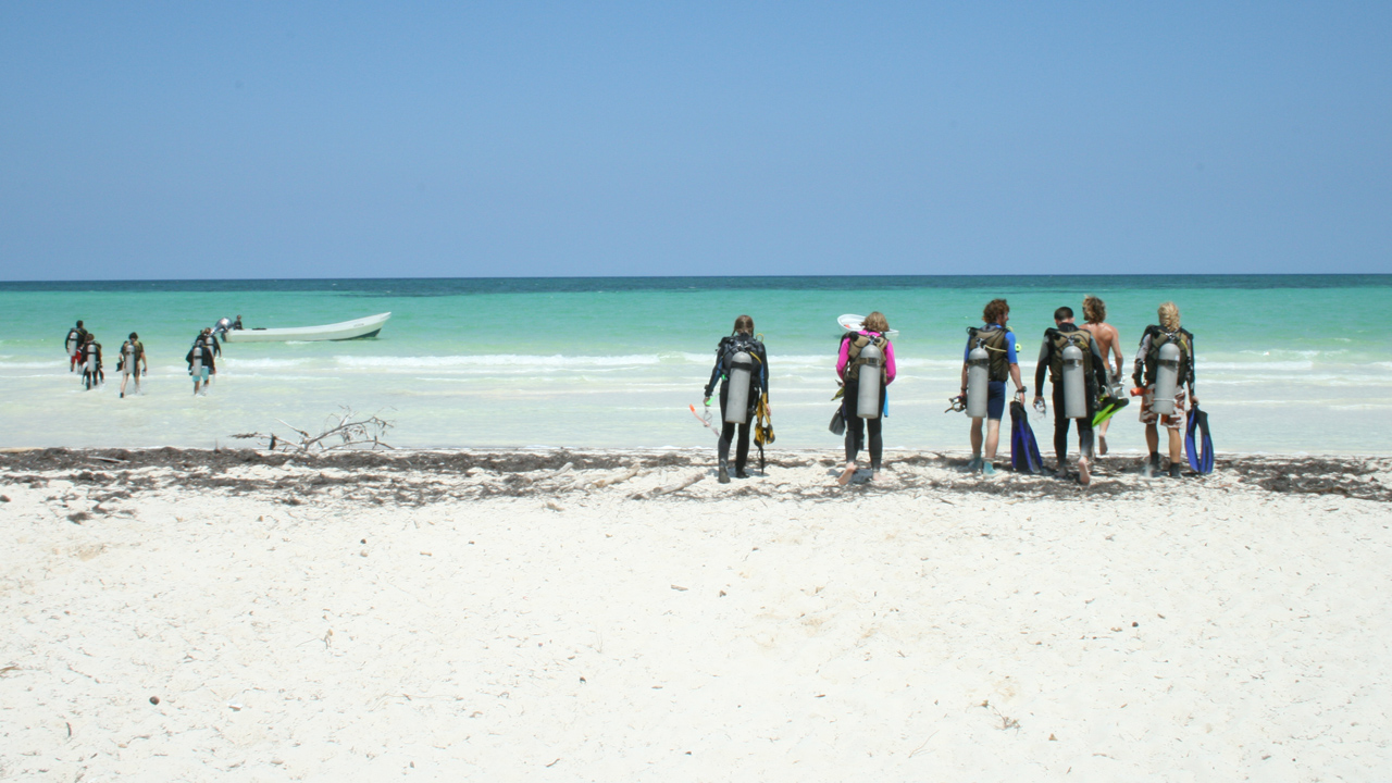 Duikers op een vrijwilligersproject op een strand in Mexico