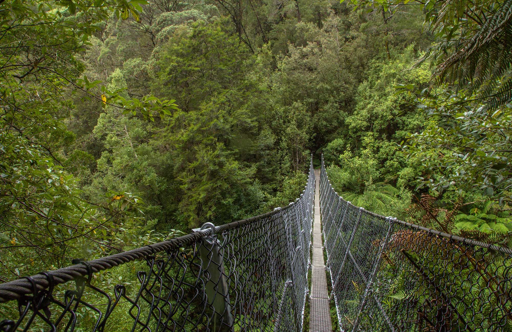australia-tasmania-suspension-bridge-at-montezuma-falls