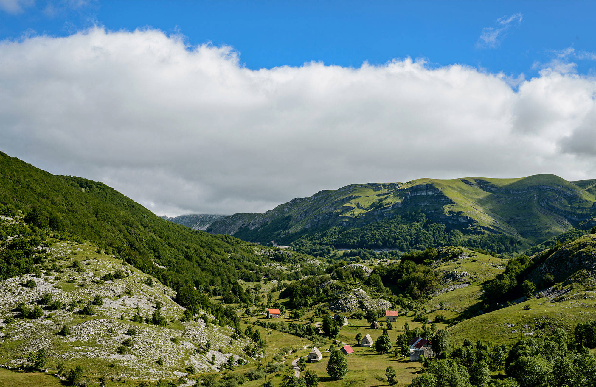 Uitzicht op Lovćen National Park | Reizen naar Montenegro | KILROY
