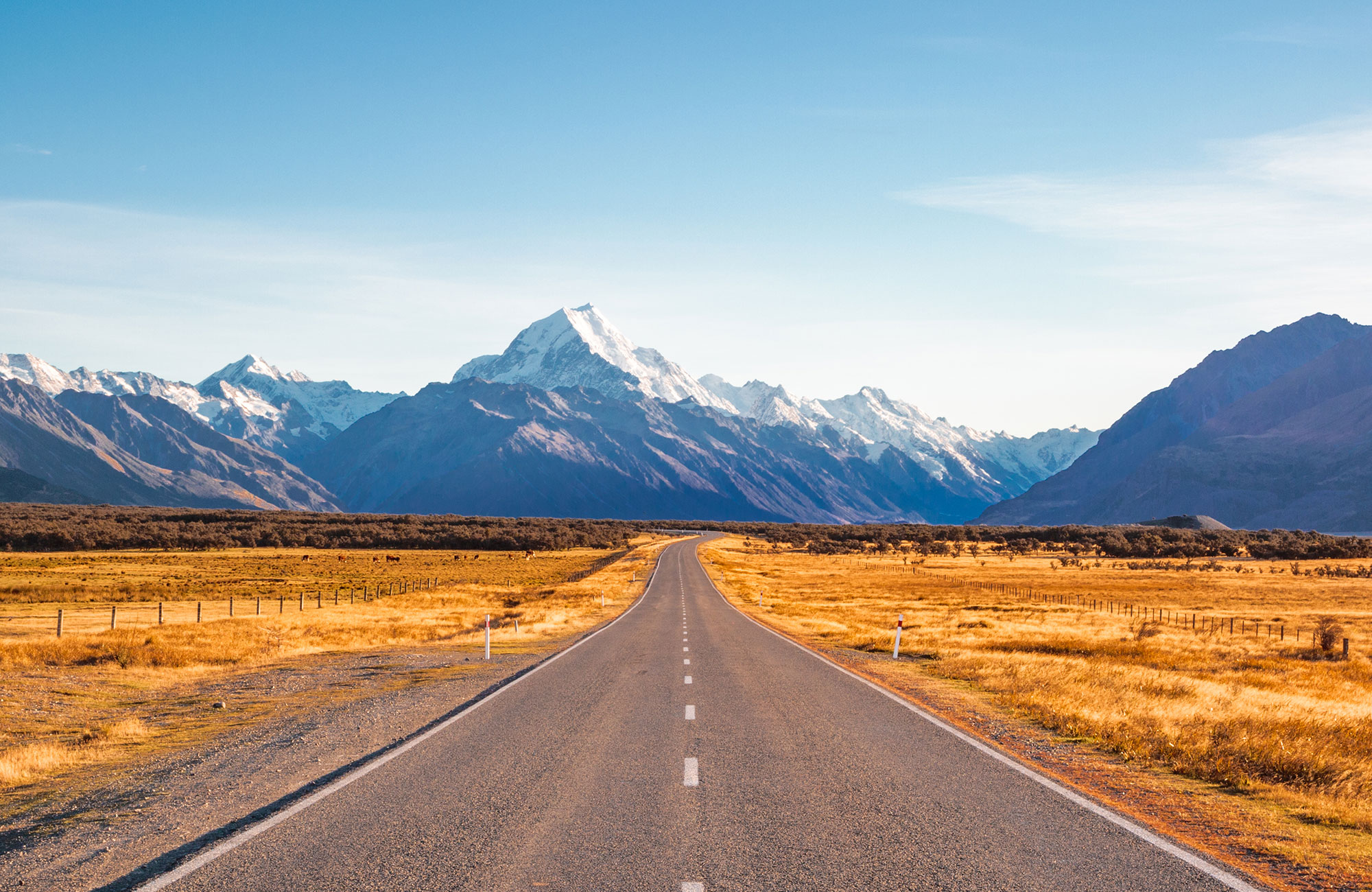 Rijdt met de Chubby Camper door Nieuw-Zeeland | Camperhuur Nieuw-Zeeland | KILROY
