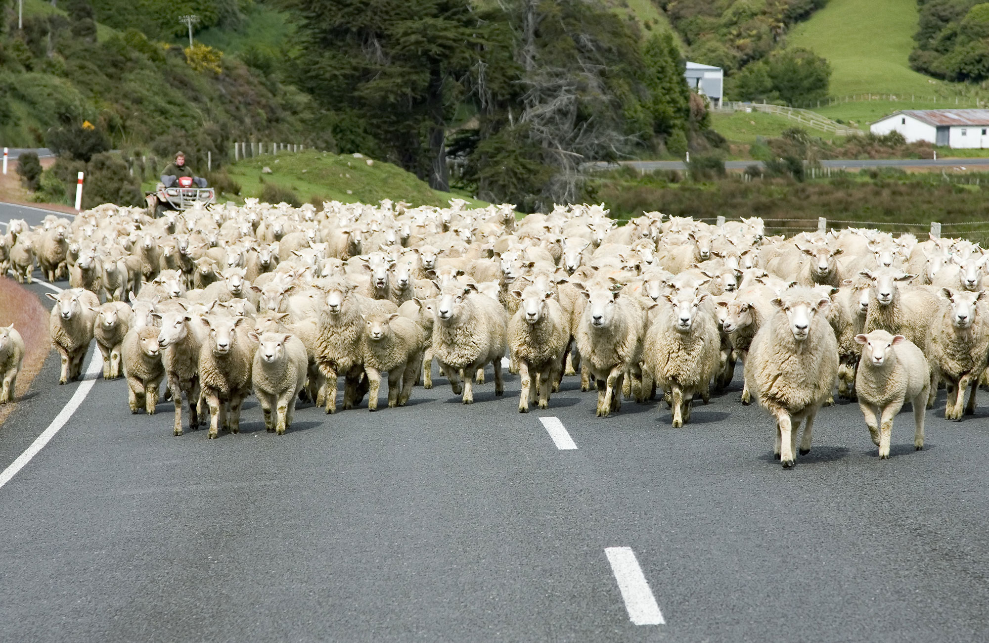 Rijdt met de Hi-Top Camper over de wegen in Nieuw-Zeeland | Camperhuur Nieuw-Zeeland | KILROY