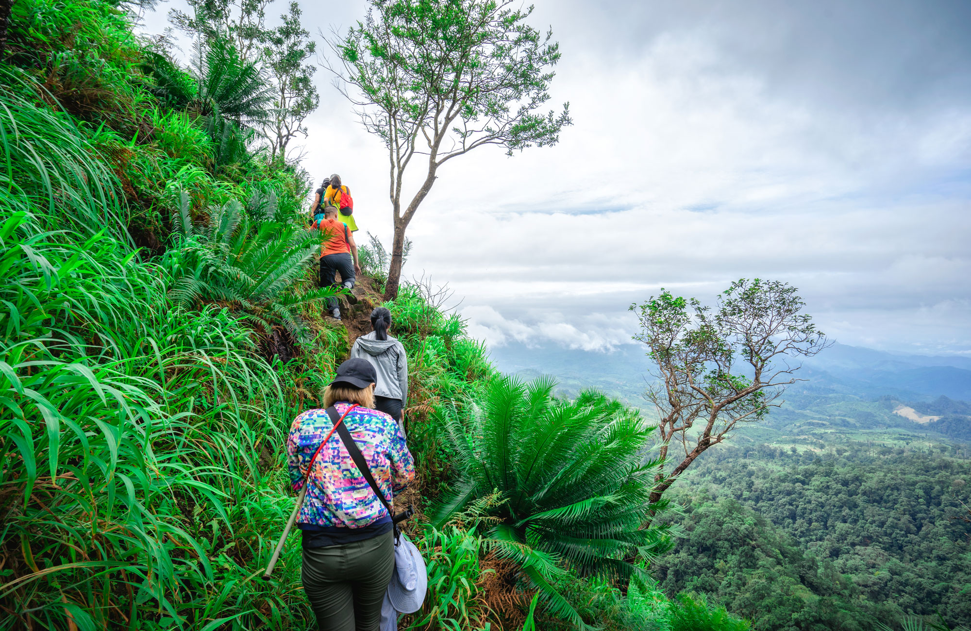 Mensen wandelen in Thailand op een berg tussen groene natuur
