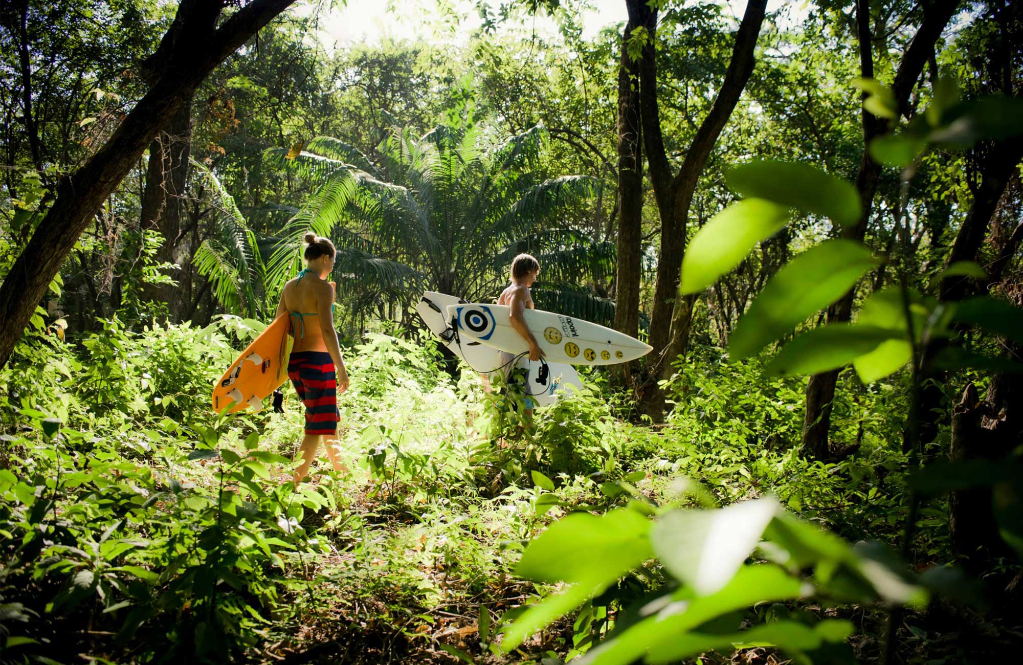 Lapoint Surfcamp Costa Rica Santa Teresa Jungle Walk Cover