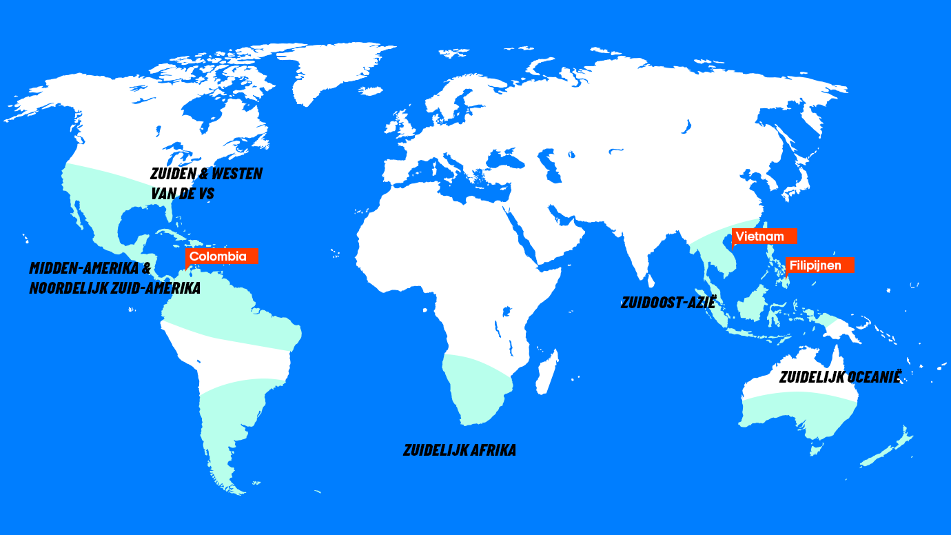 Kaart met beste reistijd maart | Beste bestemmingen maart | Reiskalender | KILROY
